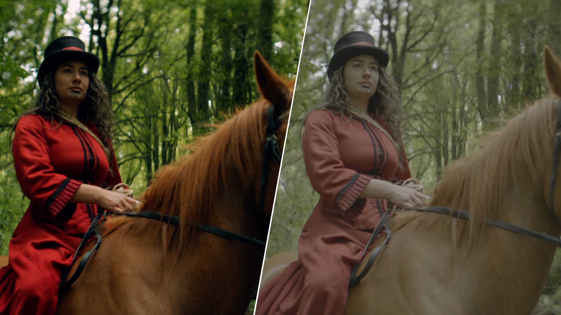 ALLRAD V-Log LUMIX LUTs MASTER COLLECTION (Pack 1 & 2) ALLRAD