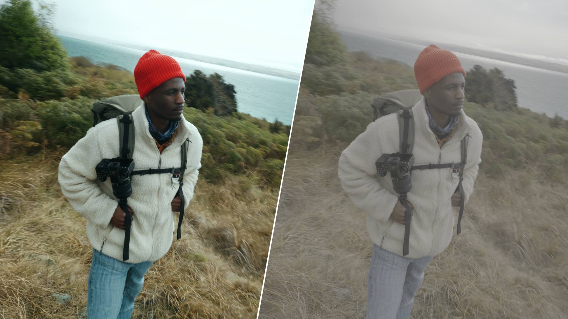 ALLRAD V-Log LUMIX LUTs MASTER COLLECTION (Pack 1 & 2) ALLRAD