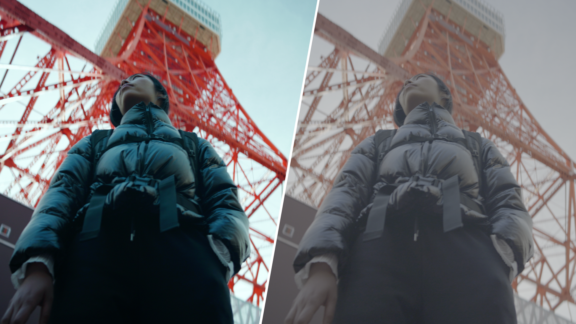 ALLRAD V-Log LUMIX LUTs MASTER COLLECTION (Pack 1 & 2) ALLRAD