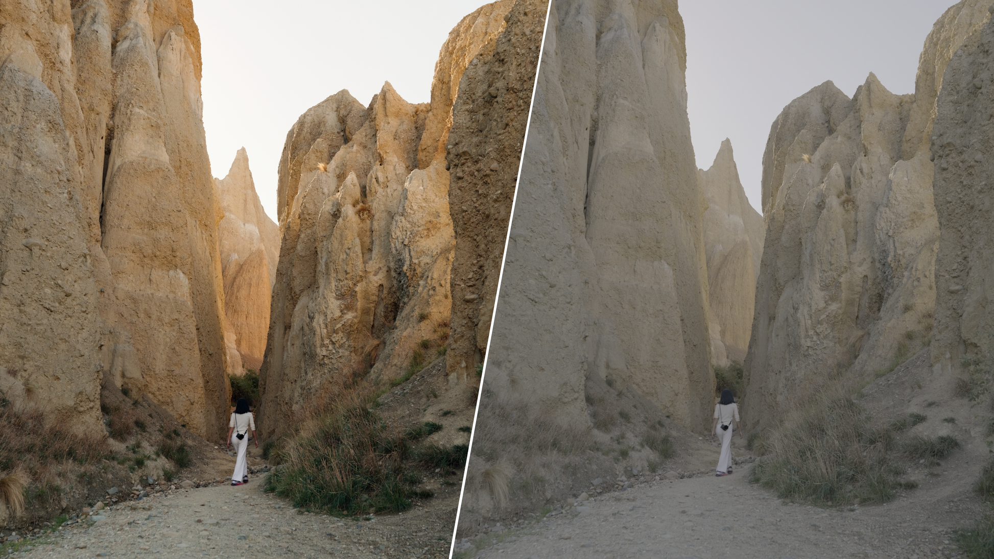 ALLRAD V-Log LUMIX LUTs MASTER COLLECTION (Pack 1 & 2) ALLRAD