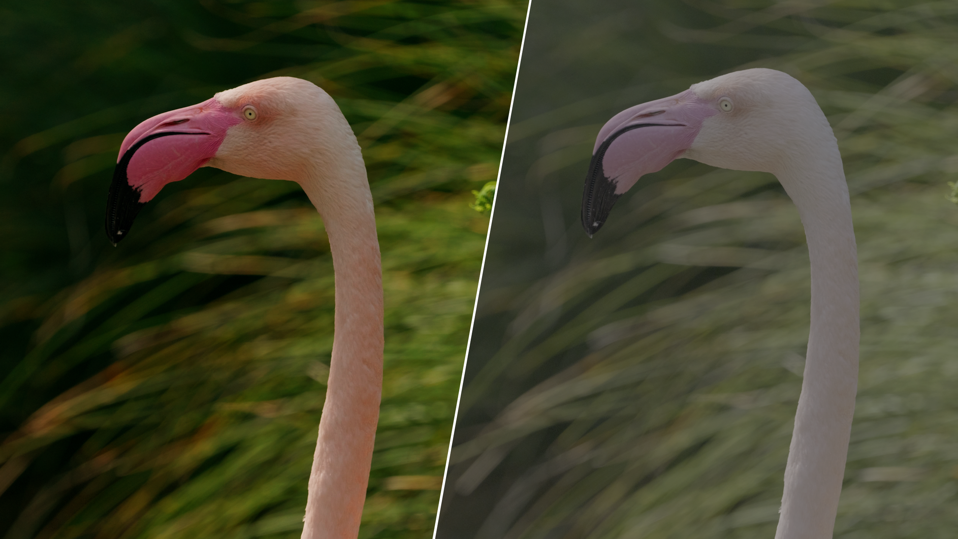 ALLRAD V-Log LUMIX LUTs MASTER COLLECTION (Pack 1 & 2) ALLRAD