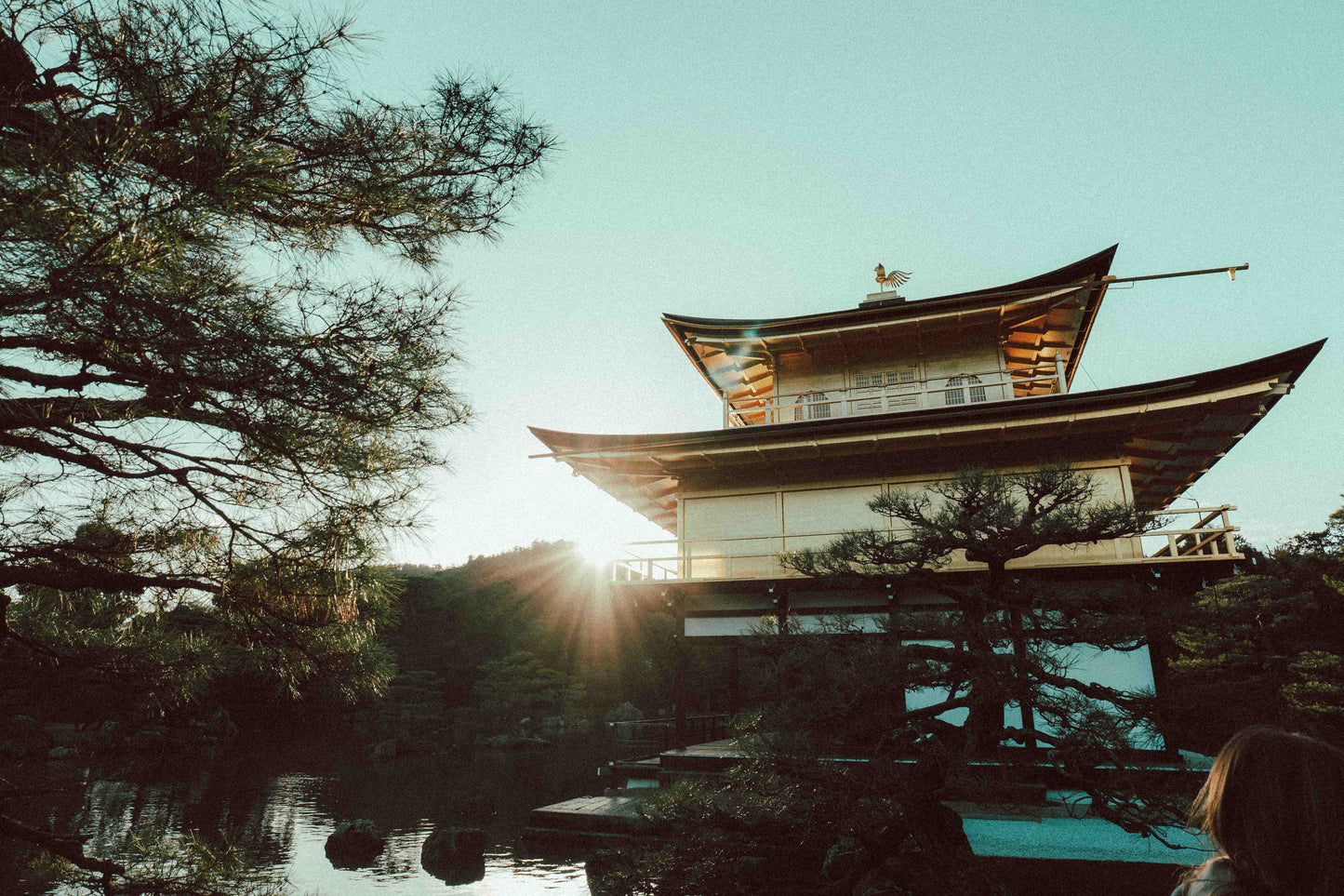 ALLRAD Lightroom Presets LUTs shown in a digital display, showcasing various color grading options for photo editing.