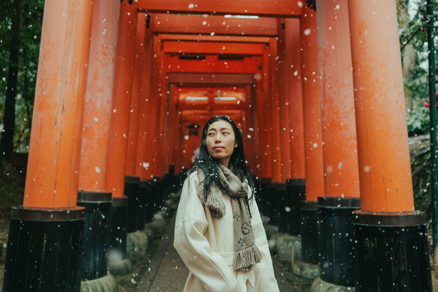 ALLRAD FREE LUT and Lightroom preset screenshot showcasing color grading options for photo editing.
