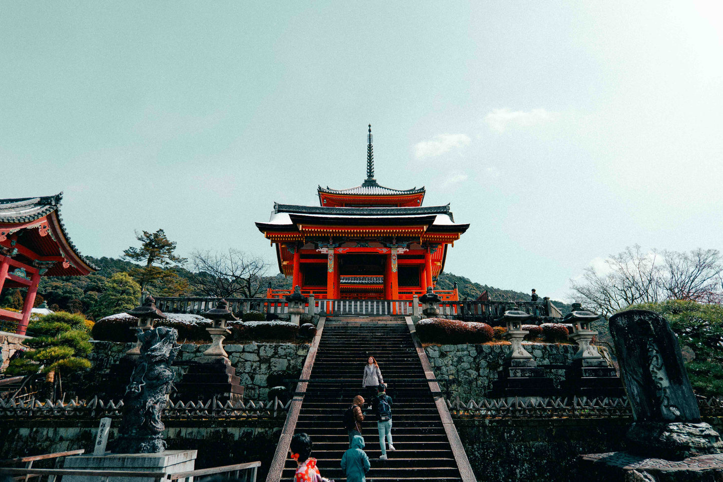 ALLRAD Lightroom Presets LUTs bundle displayed in a digital file with colorful preview thumbnails.