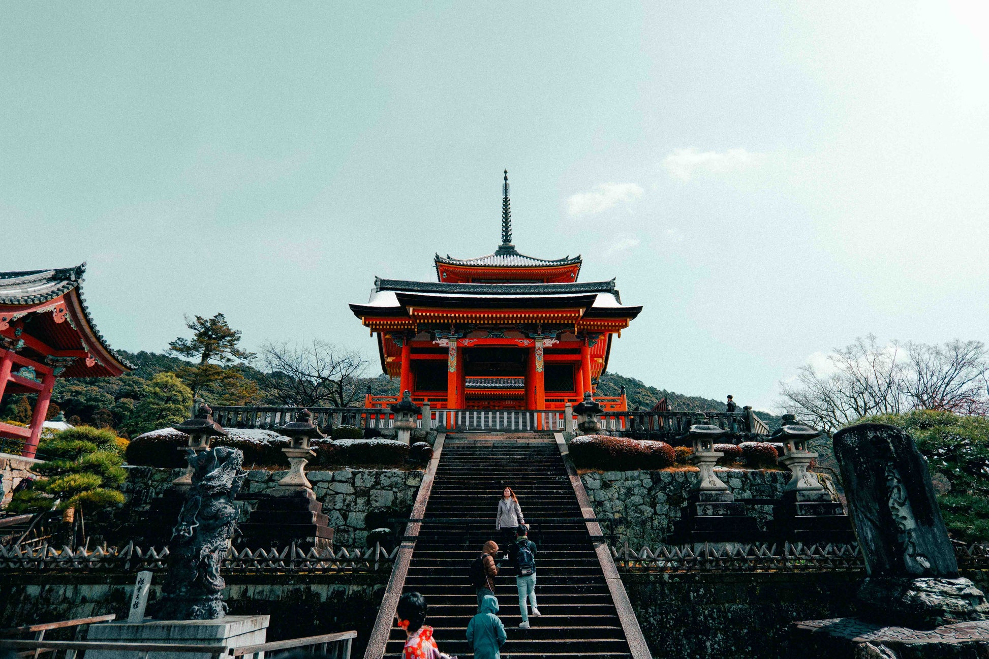 ALLRAD Lightroom Presets LUTs bundle displayed in a digital file with colorful preview thumbnails.