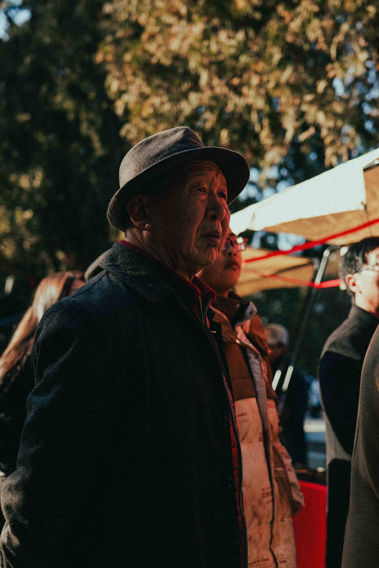 ALLRAD free LUT and Lightroom preset displayed on a computer screen for photo editing and color grading.