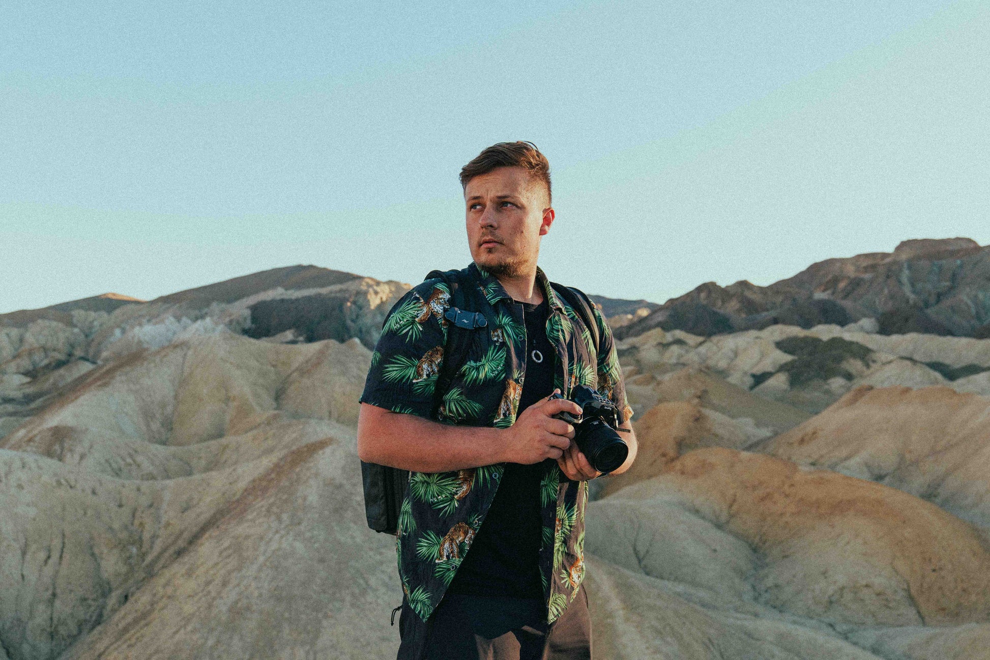 ALLRAD FREE LUT and Lightroom preset displayed on a screen, showcasing color grading options for photography editing.